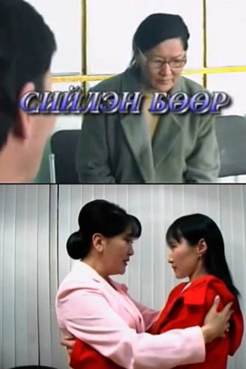 Siilen’s Other Half (2003) poster