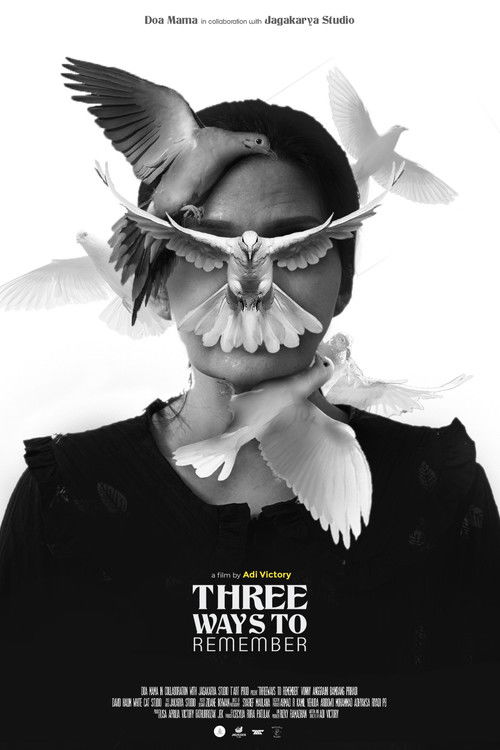 Three Ways to Remember (2024) poster