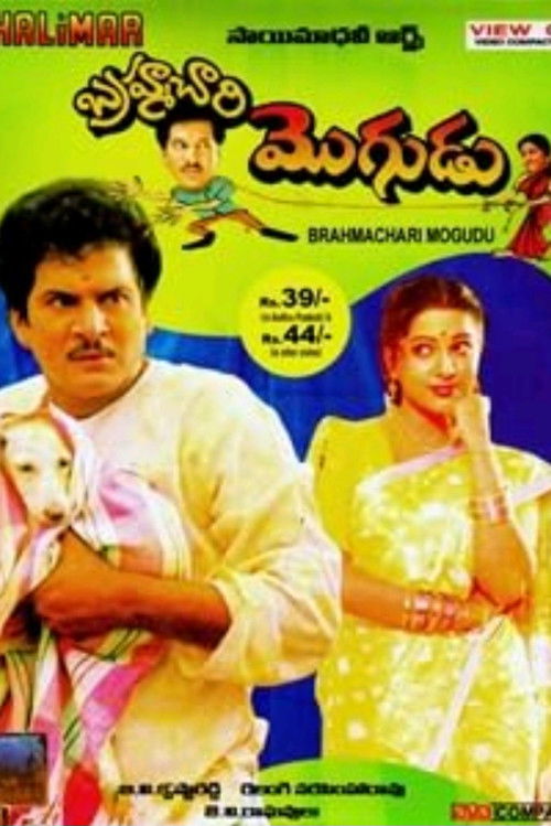 Brahmachari Mogudu (1994) poster
