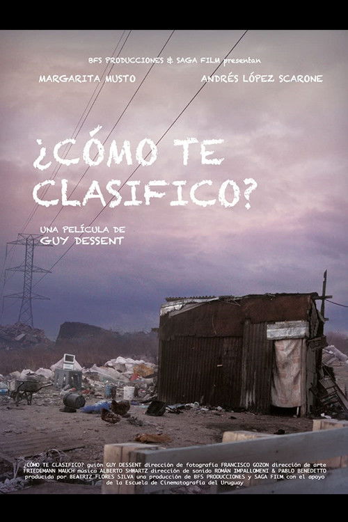 ¿Cómo te clasifico? (2011) poster