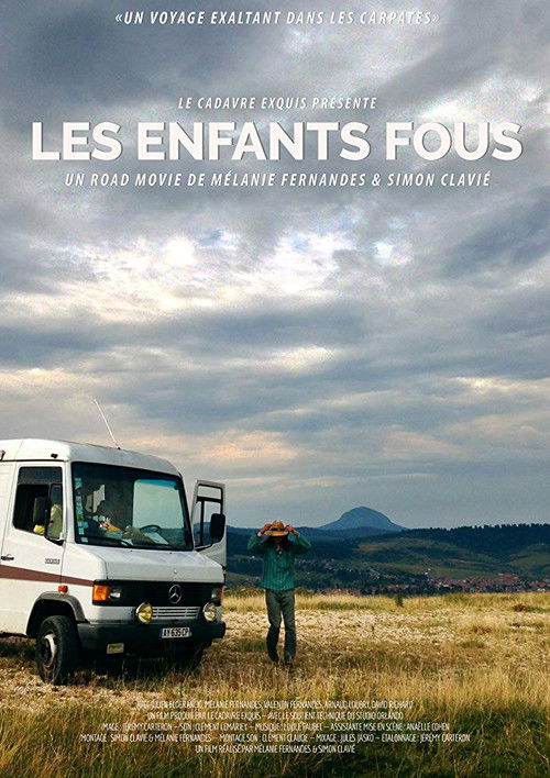 Les enfants fous (2017) poster