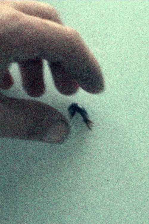 Comparative Anatomy (1975) poster