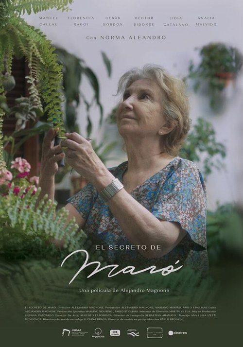 Maro’s Secret (2021) poster