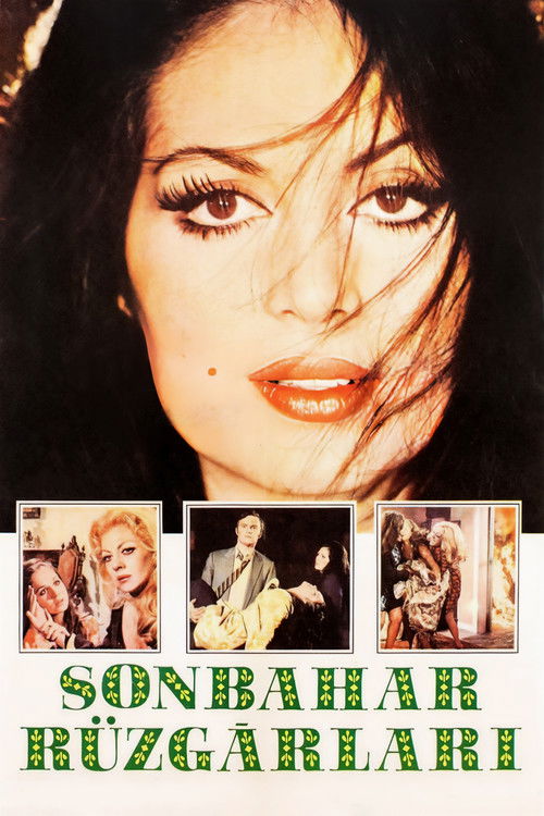 Sonbahar Rüzgarları (1969) poster