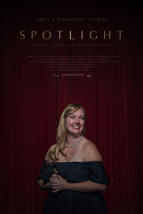 Spotlight (2020) poster