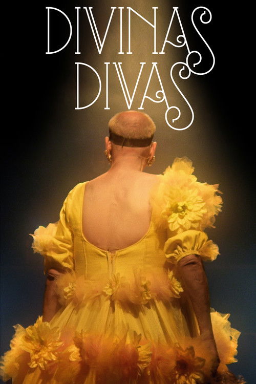 Divinas Divas (2016) poster