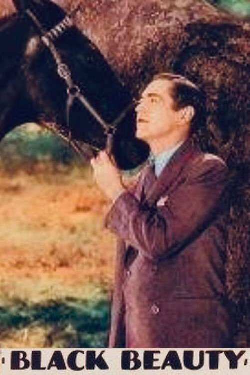 Black Beauty (1933) poster