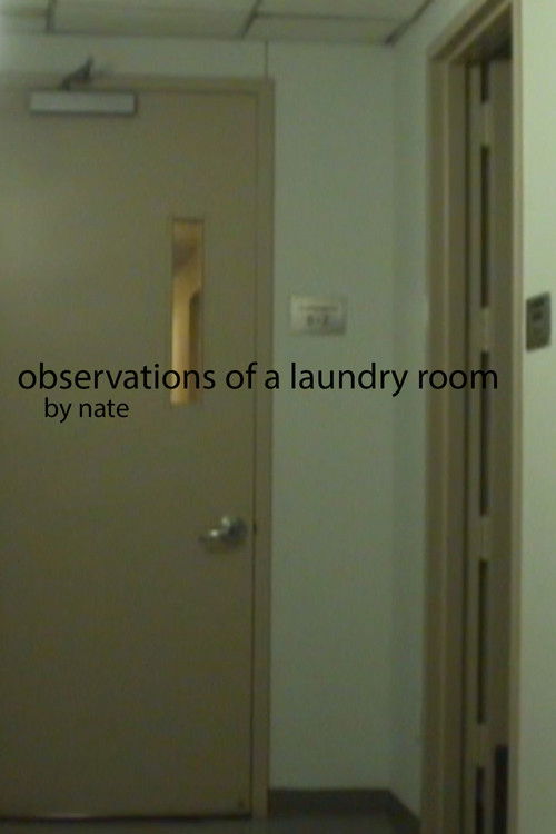 Observations of a laundry room (2023) poster