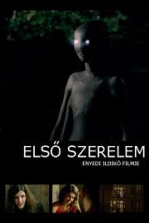 First Love (2008) poster