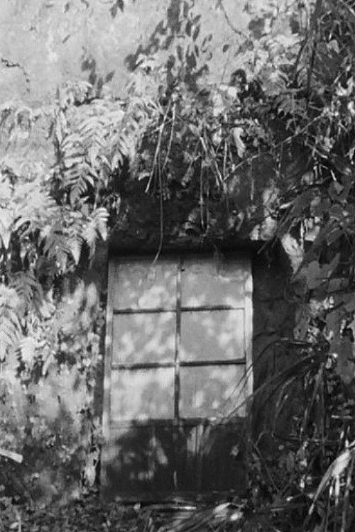 MY SHELTER (1981) poster