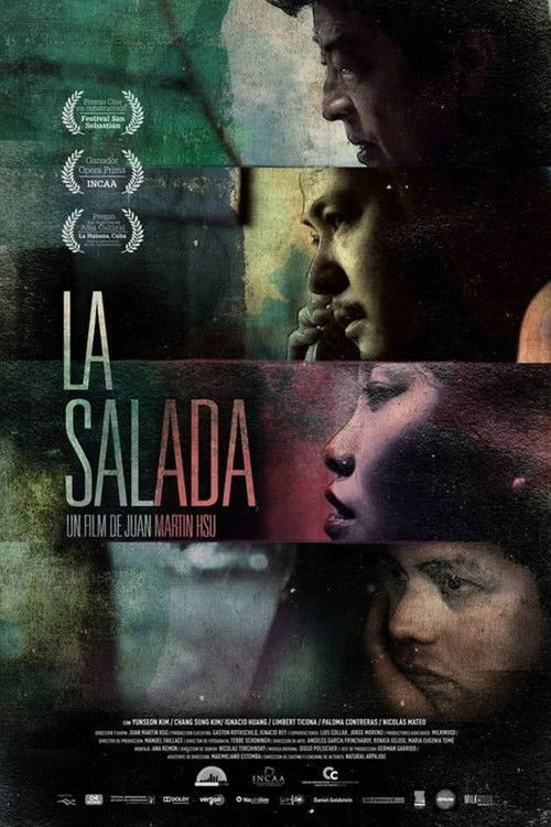 La Salada (2014) poster