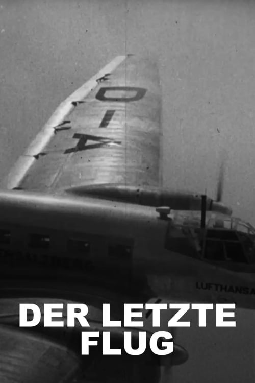 Der letzte Flug - Ein deutsches Geheimnis (2022) poster