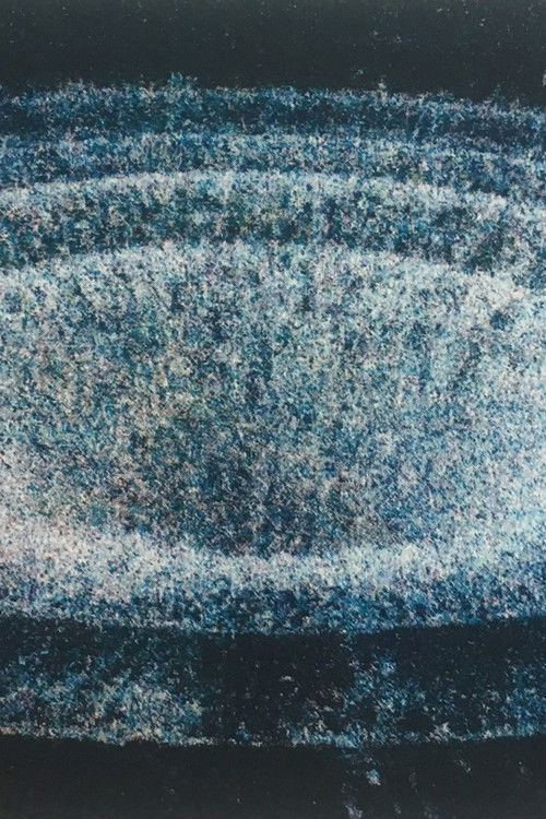 La Crue (2020) poster