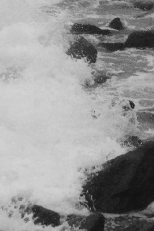 Greg Louganis / Minamoto no Shigeyuki (2023) poster