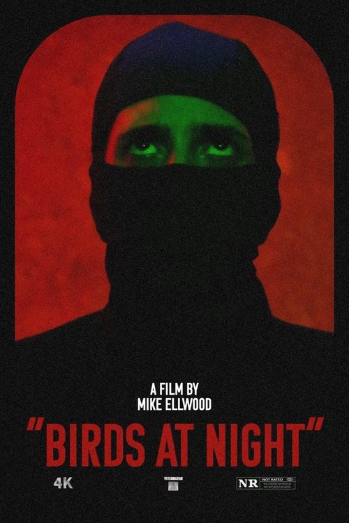 Birds at Night (2024) poster
