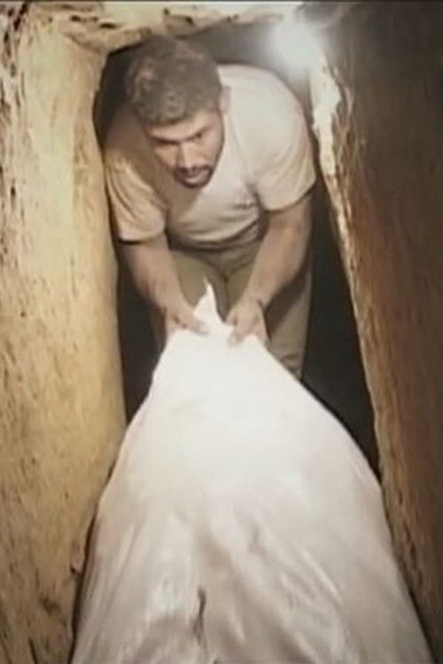 Tunnel Vision (2010) poster