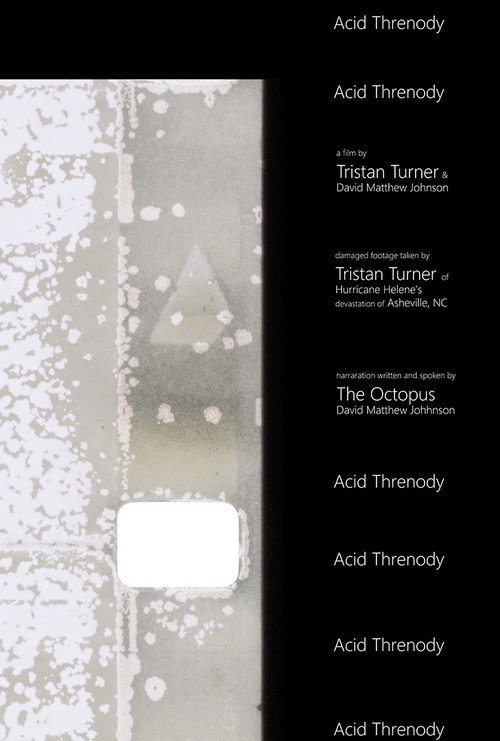 Acid Threnody poster