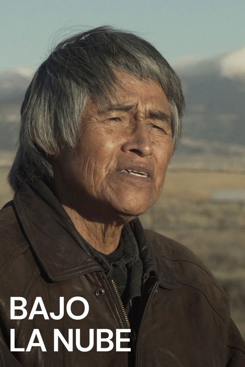 Bajo La Nube (2023) poster