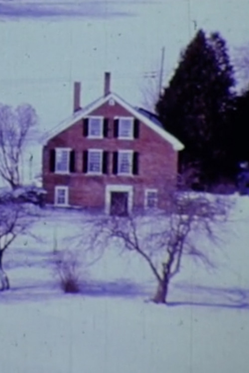 Inside Out (1978) poster