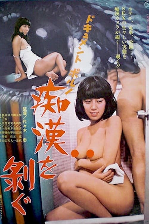 Document porno: Chikan o hagu (1977) poster