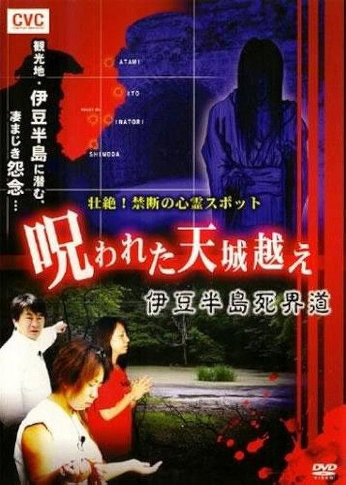 Intense! Forbidden Haunted Spots - The Cursed Crossing of Mount Amagi: Izu Peninsula Death Realm Road (2008) poster