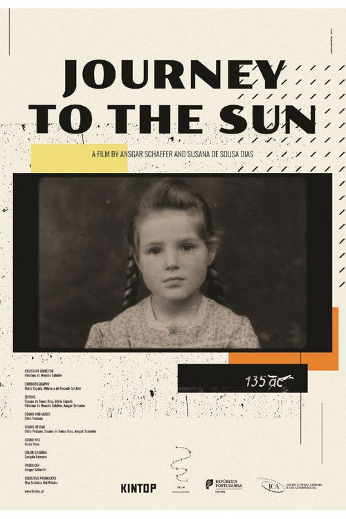 Journey to the Sun (2021) poster