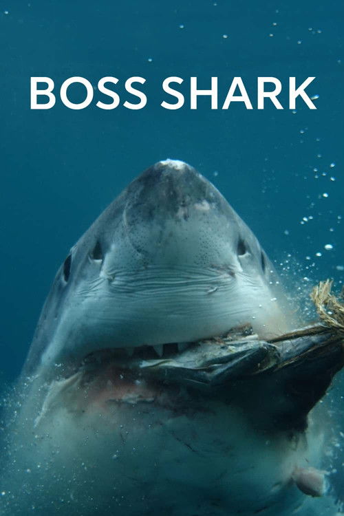 Boss Shark (2024) poster