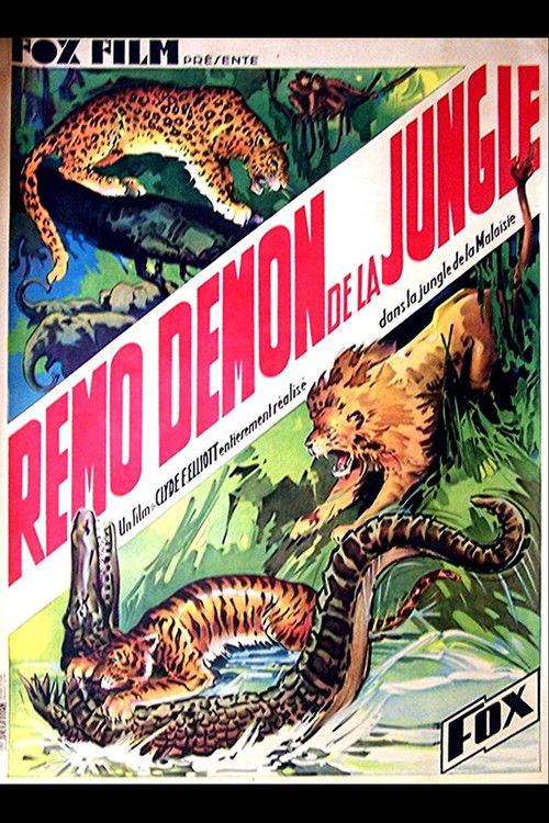 Devil Tiger (1934) poster