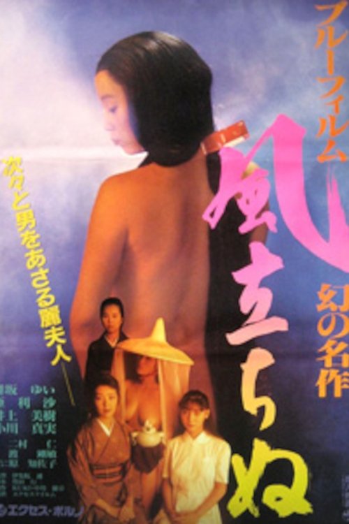 Blue Film Masterpiece: The Wind Rises (1991) poster