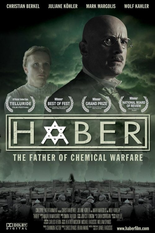 Haber (2008) poster