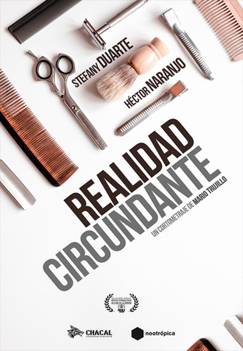 Surrounding Reality (2018) poster