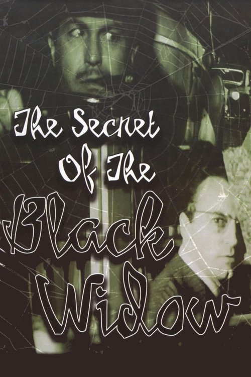 The Secret of the Black Widow (1963) poster