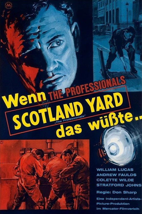 The Professionals (1960) poster