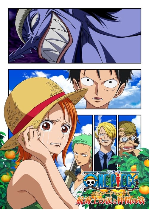 One Piece Episode of Nami: Tears of a Navigator and the Bonds of Friends (2012) poster