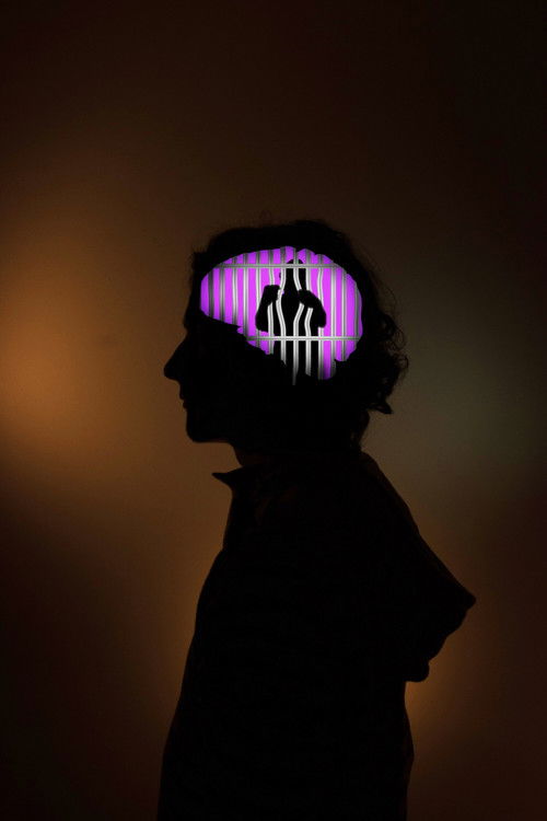 Animal Me (2024) poster