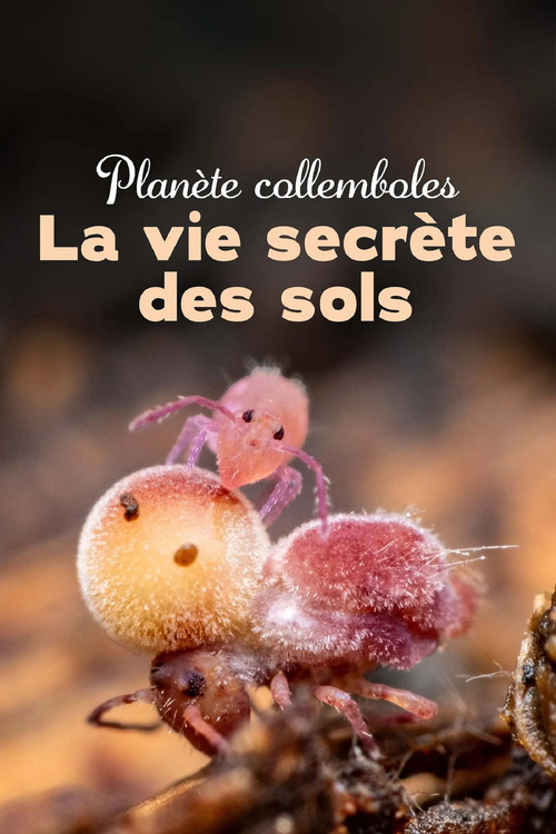 Planète collemboles : la vie secrète des sols (2024) poster