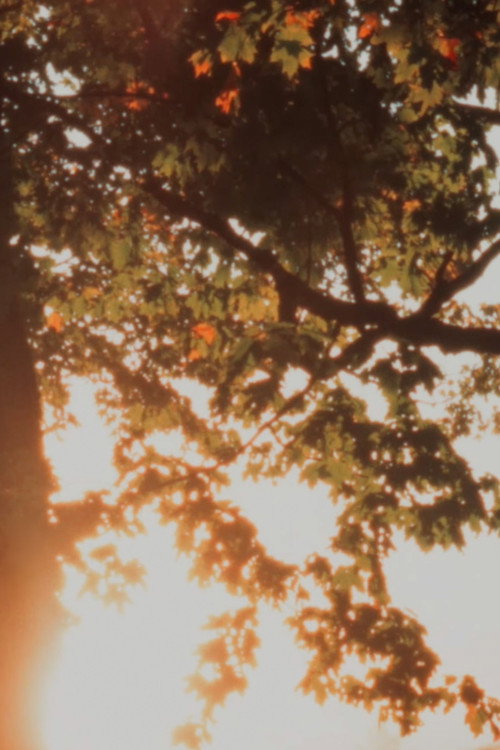 Autumn Sunrise (2022) poster