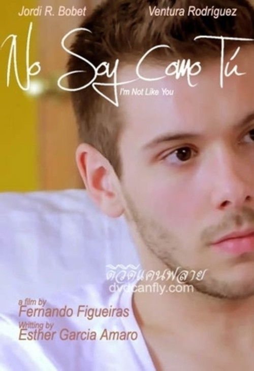 I'm Not Like You (2012) poster