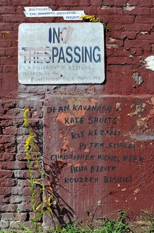 In Passing (2011) poster