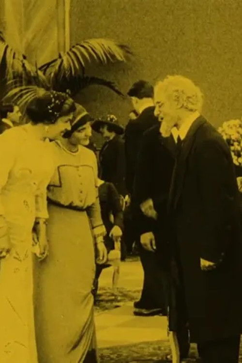 The Sign of the Black Lily (1913) poster