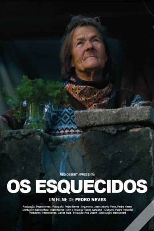 Os Esquecidos (2008) poster