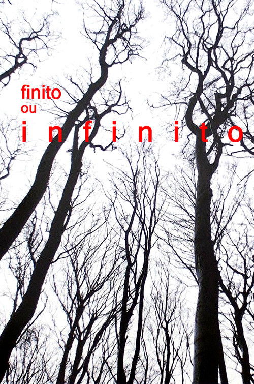 Finito ou Infinito (1986) poster