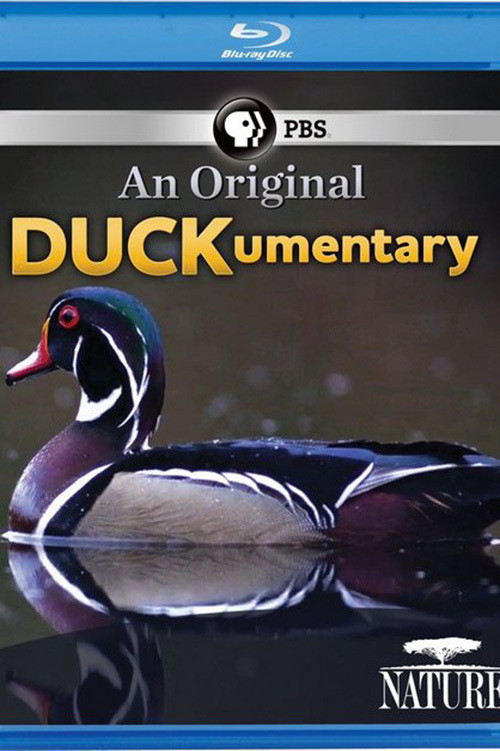PBS Nature - An Original DUCKumentary (2012) poster
