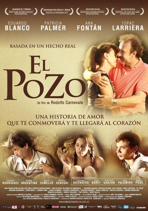 El pozo (2012) poster
