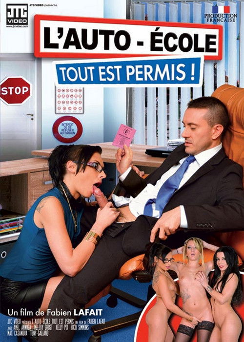 L'Auto-Ecole Tout Est Permis ! (2015) poster