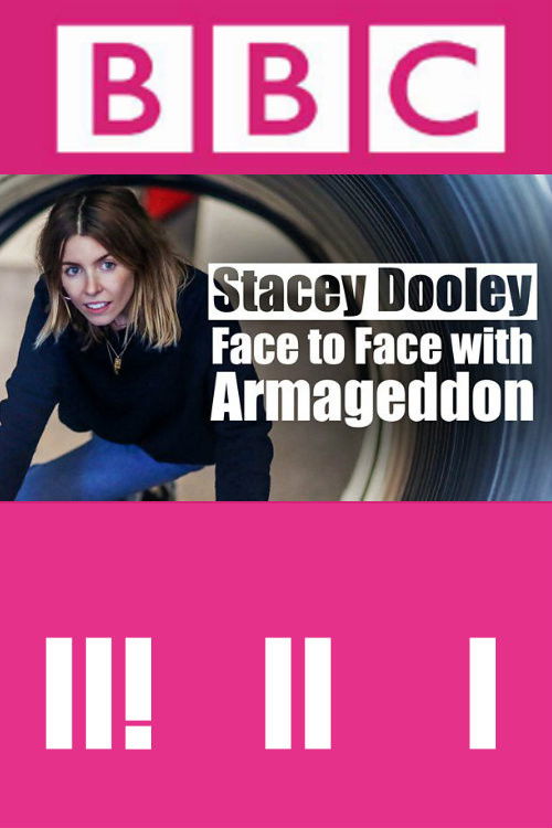 Face To Face With Armageddon (2018) poster
