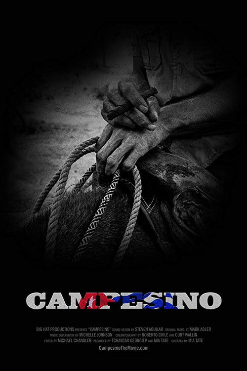 Campesino (2019) poster