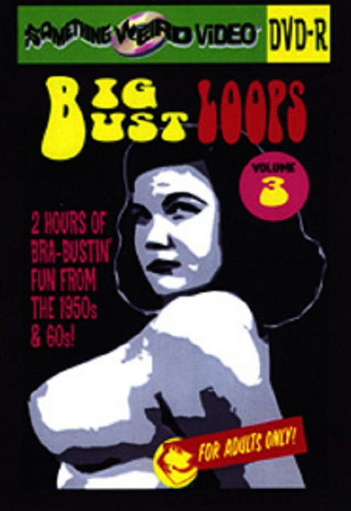 Big Bust Loops Volume 3 (2009) poster