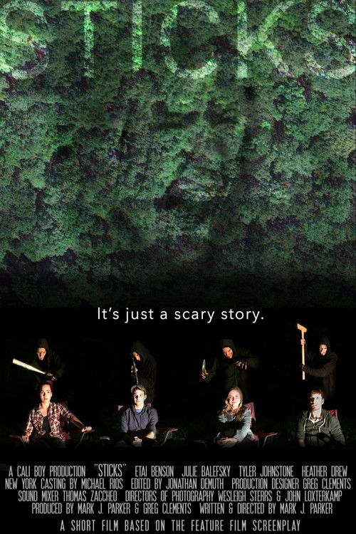 Sticks (2016) poster