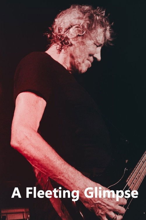 A Fleeting Glimpse (2020) poster